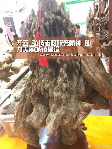 开云_弘扬志愿服务精神 助力美丽城镇建设(图1) Kaiyun官网入口 - 首页通道